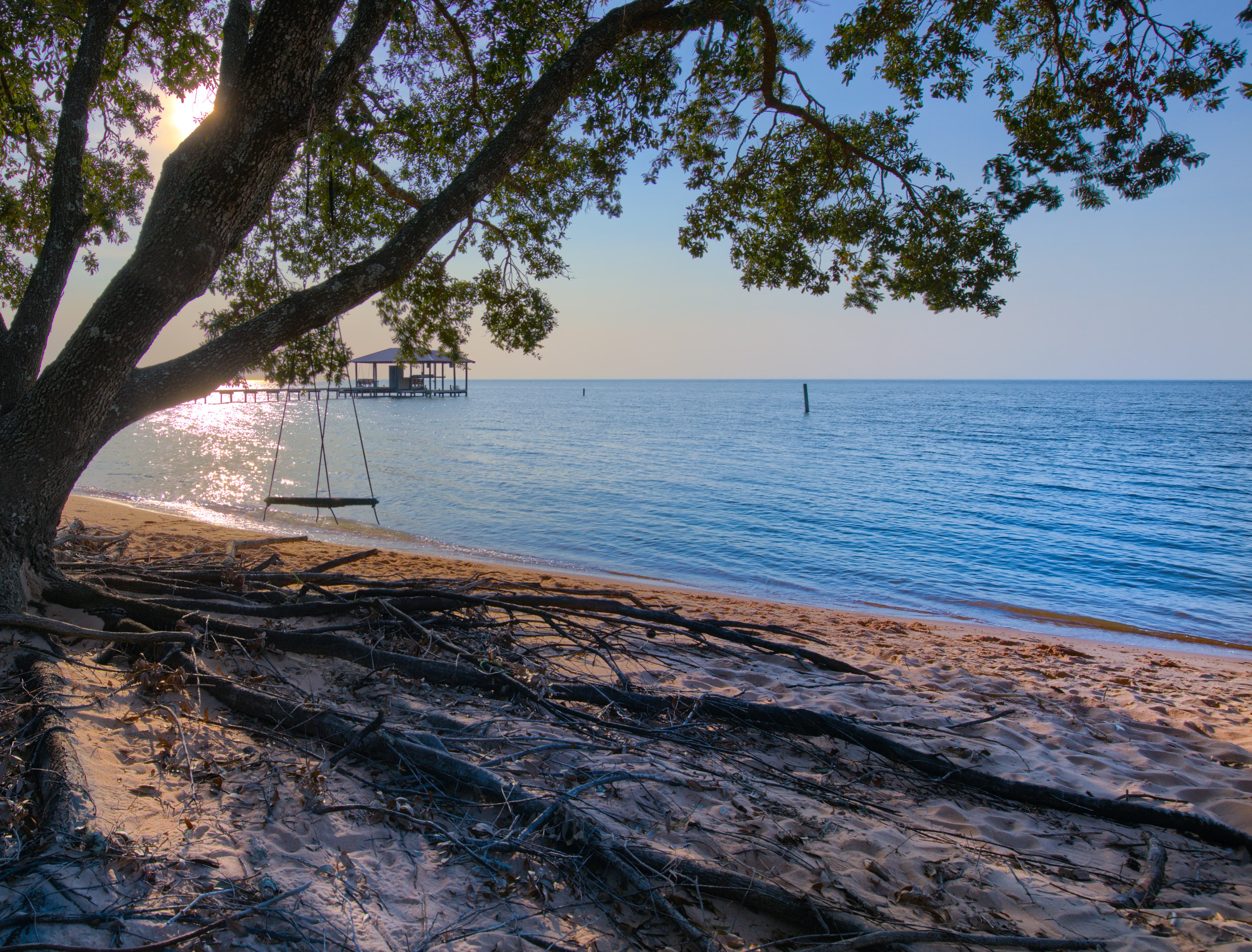 A tranquil beach scene with a large tree casting a shadow over the sand. A wooden swing hangs from a branch, and a small boat is docked in the calm water beyond. The sun shines brightly, creating a warm glow on the water.